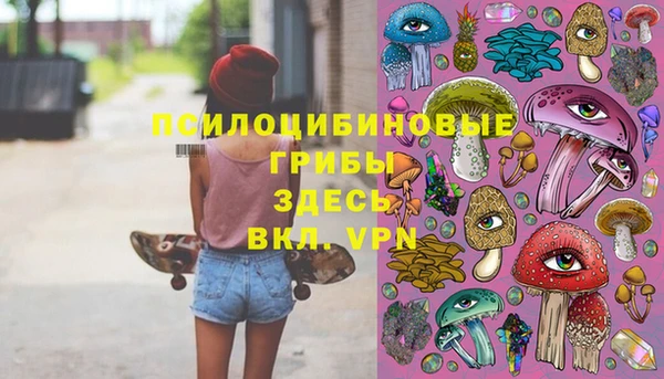 соль ск Алзамай